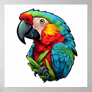 Cartoon parrot illustration poster