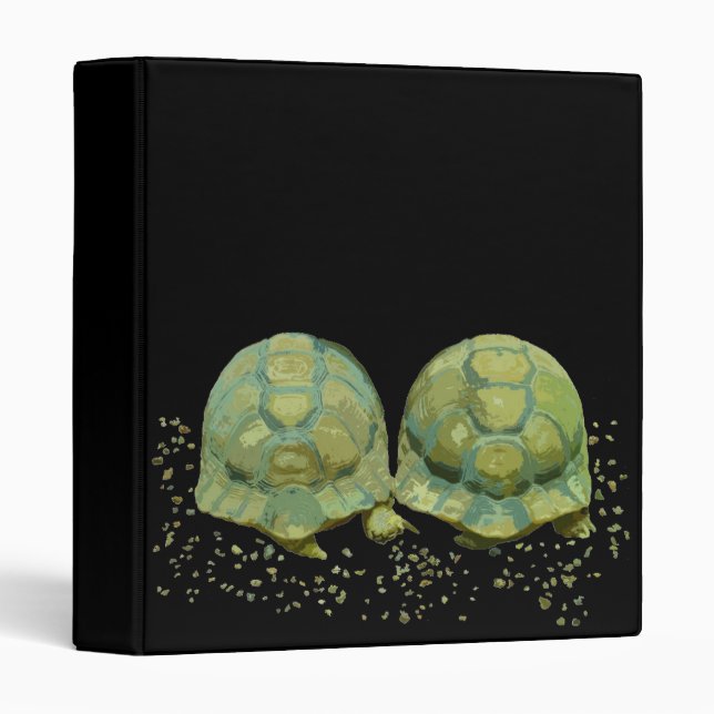 Cartoon Turtles Binder (Front/Spine)
