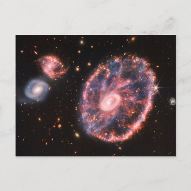Cartwheel Galaxy JWST James Webb Space Telescope I Postcard (Front)