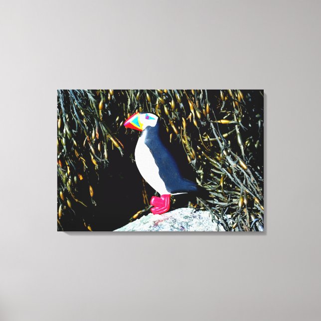 carved atlantic puffin wrapped canvas (Front)