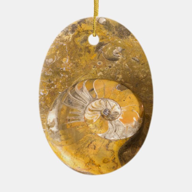 Carved Bowl Made of Fossils in Rock Closeup Photo Ceramic Ornament (Front)