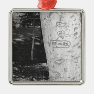 Carving on birch tree trunk B&W Metal Ornament