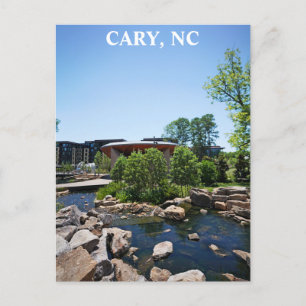 Cary North Carolina Downtown Park Travel Postcard