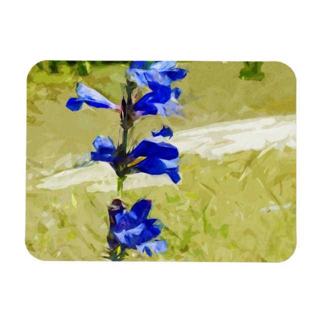 Carys Beardtongue Flower Abstract Impressionism Magnet (Horizontal)