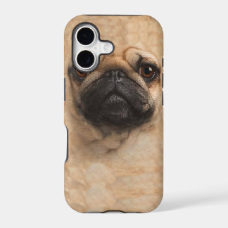 cas de couverture de l'iphone 5 de visage de