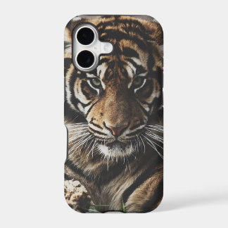 Cas de tigre