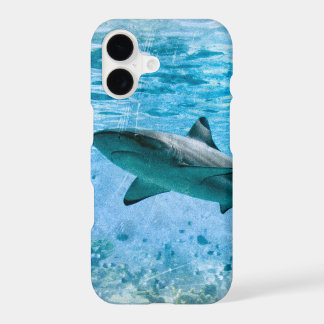 Cas vintage de requin
