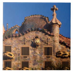Casa Batilo, Gaudi Architecture, Barcelona, Tile