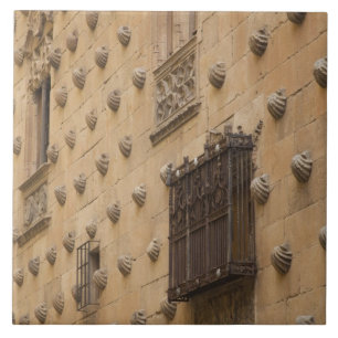 Casa de las Conchas, House of Shells Tile