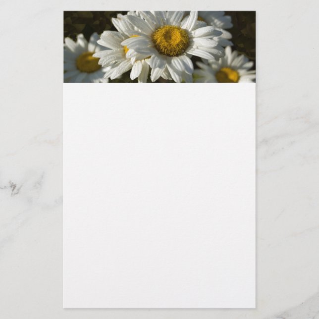 Casacding Daisy Stationery (Front)
