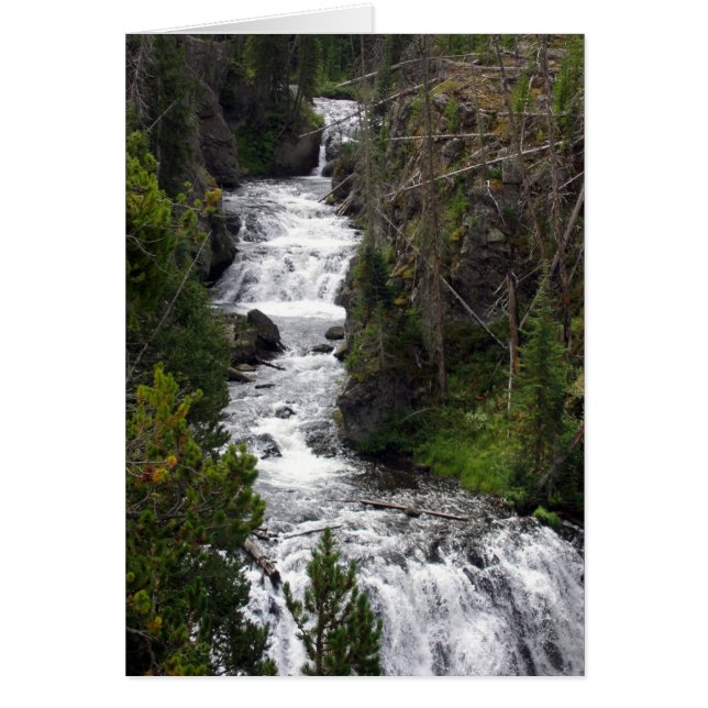 cascade (Devant)