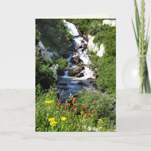 Cascade avec Fleurs sauvages, carte de voeux vierg