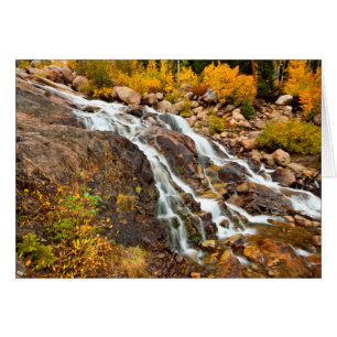 Cascade dans le parc national de Grand Teton