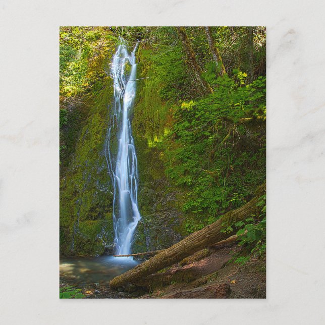 Cascade de carte postale en forêt (Devant)