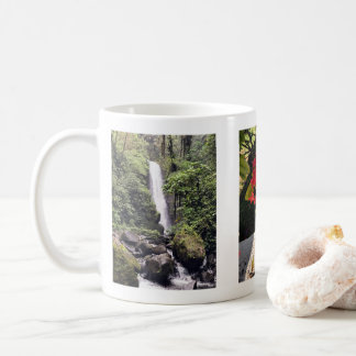 Cascade de La Paz et Mug Floral