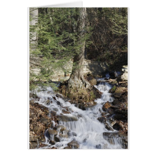 Cascade des montagnes (Devant)