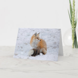 Cascade Fox in Snow Holiday Card