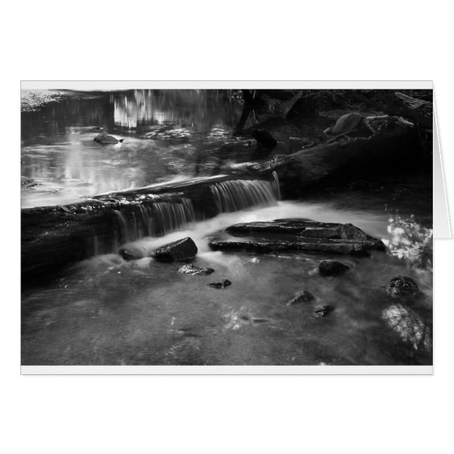 Cascade in mono (Front Horizontal)
