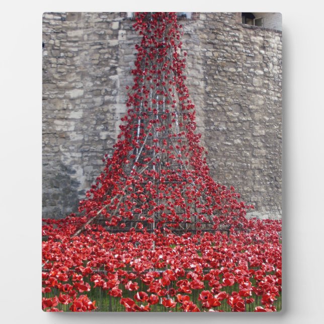 Cascade of Poppies - Tower of London Plaque (Front)