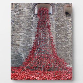 Cascade of Poppies - Tower of London Plaque