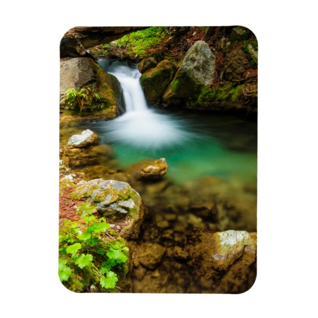 Cascade on Hare Creek, California Magnet (Vertical)