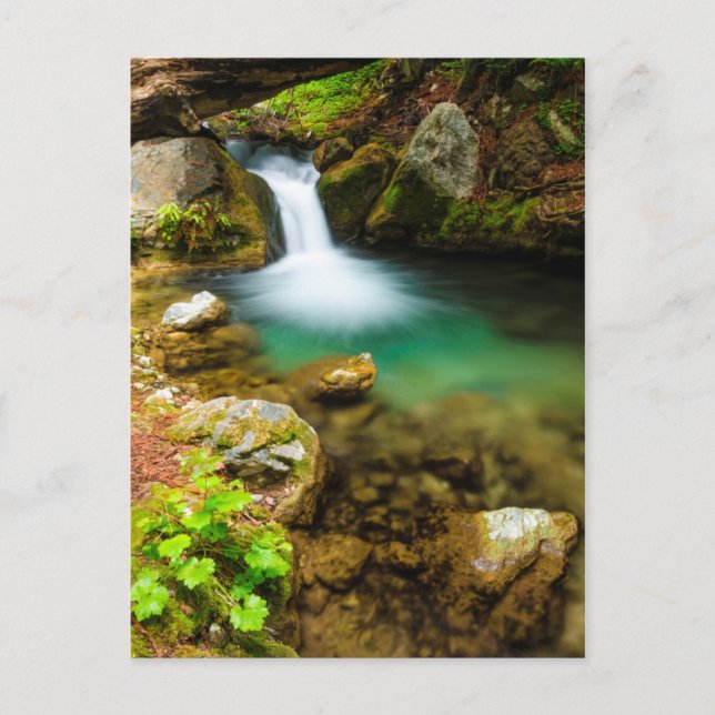 Cascade on Hare Creek, California Postcard (Front)