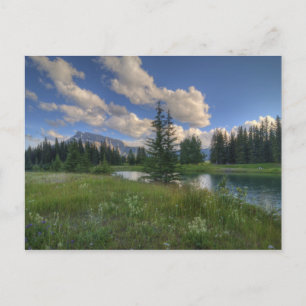 Cascade Ponds Postcard