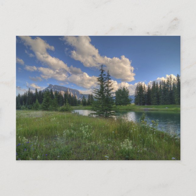 Cascade Ponds Postcard (Front)