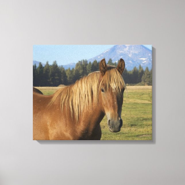 Cascade Range | Chestnut Horse Canvas Print (Front)