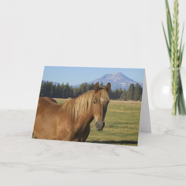 Cascade Range | Chestnut Horse Card (Front)