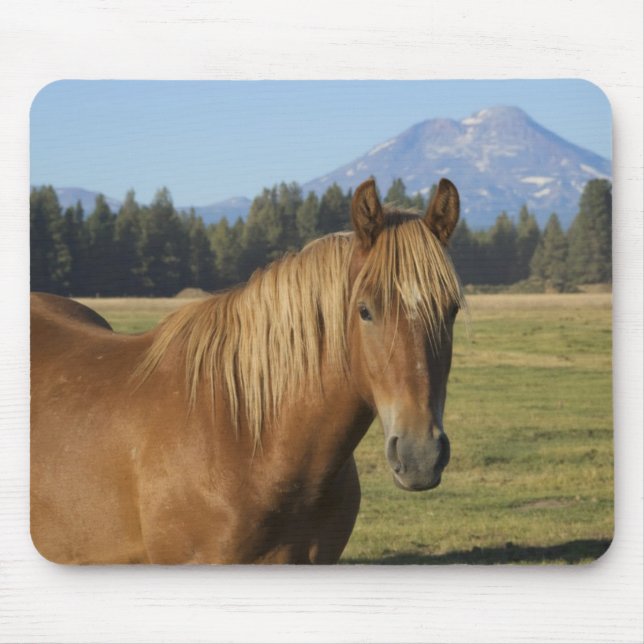 Cascade Range | Chestnut Horse Mouse Pad (Front)