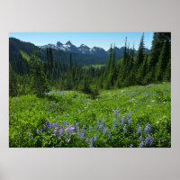 Cascade Range from Mount Rainier National Park