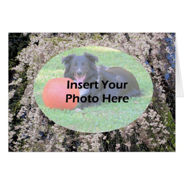 Cascade Spring Of Blossoms Photo Card (Front Horizontal)