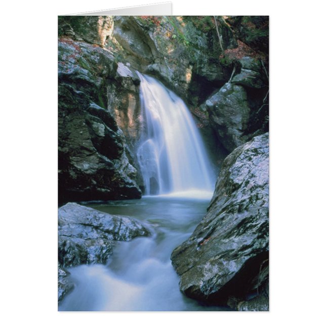 Cascades # 100 (Devant)