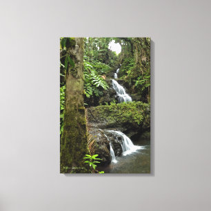 "CASCADING WATERFALL IN HAWAIIAN TROPICAL GARDEN" CANVAS PRINT