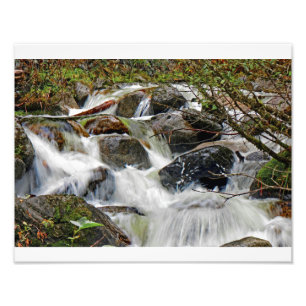 Cascading Waters1 Photo Print