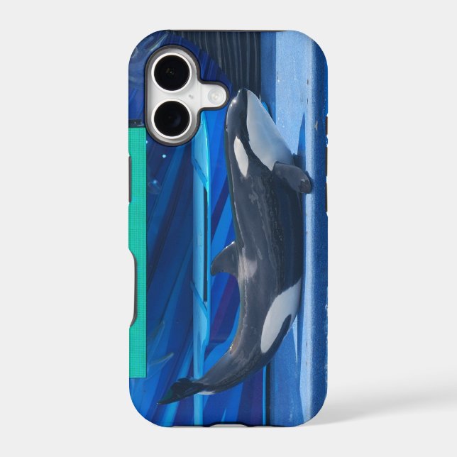 Case (Back)
