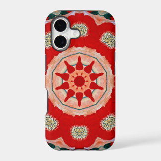 Case