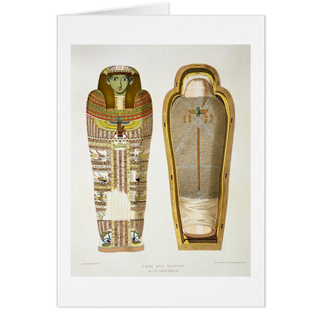 Case and mummy in its cerements from Gizeh, Volume (Front)