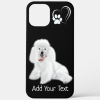Case-Mate Barely There Apple iPhone 12 Pro Max Cas
