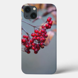 Case-Mate Barely There Apple iPhone 13 Case