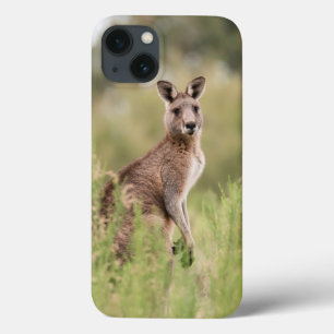 Case-Mate Barely There Apple iPhone 13 Case