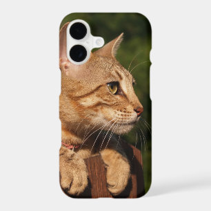 Case-Mate Barely There Plus iPhone 7 Case Kitten