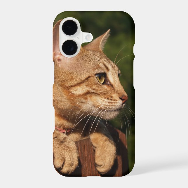 Case-Mate Barely There Plus iPhone 7 Case Kitten (Back)