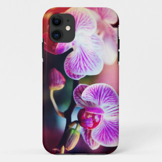 Case-Mate Case "Two Orchids Colorized"