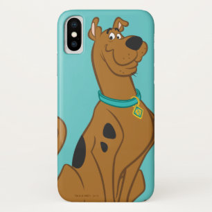  iPhone X CASE