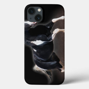 iPhone 13 CASE