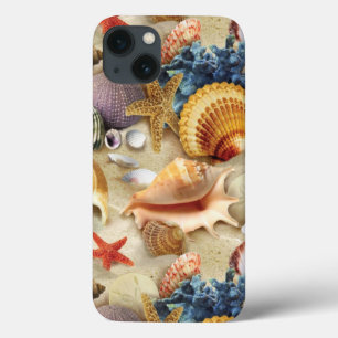 Coques de mer sur la plage