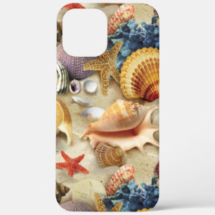 Coques de mer sur la plage
