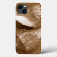 Coques sensuelles